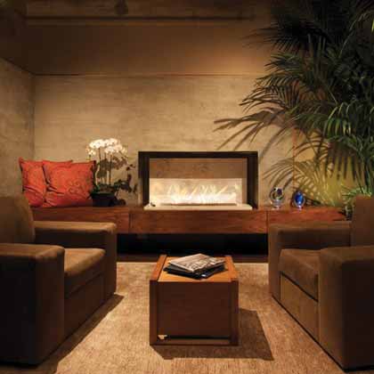 Ecosmart Bio Ethanol Fires