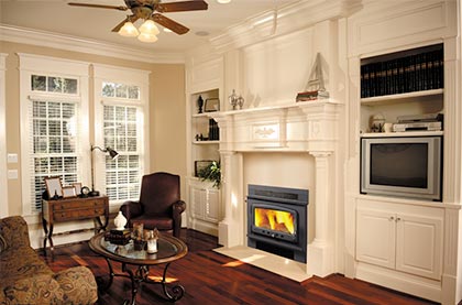 Nectre wood fireplace